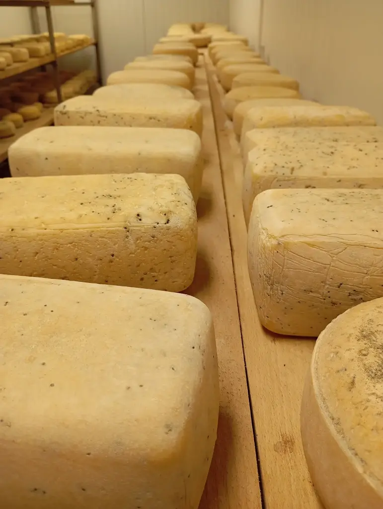 Fromage à pâte dure de la Ferme Flémal (Nature, En tranche)
