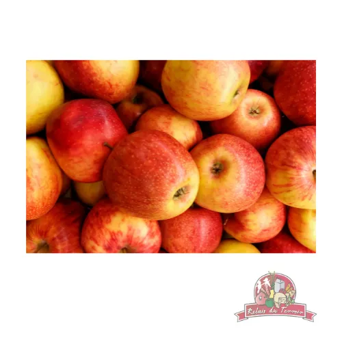 Pomme Bio