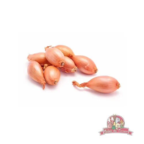 Échalote Bio