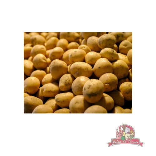 Pomme de Terre Vrac Bio
