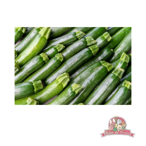 Courgette Bio