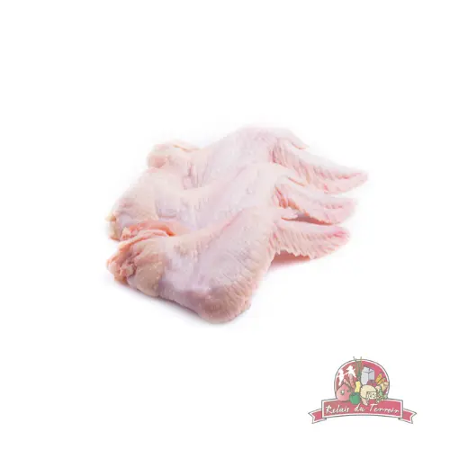 Aile poulet