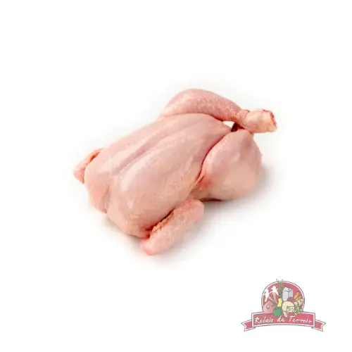 Poule Mère